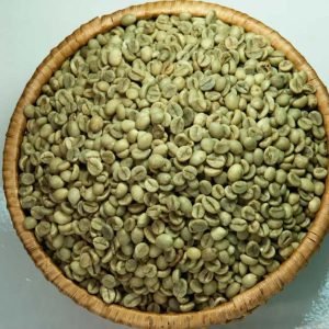 robusta coffee beans