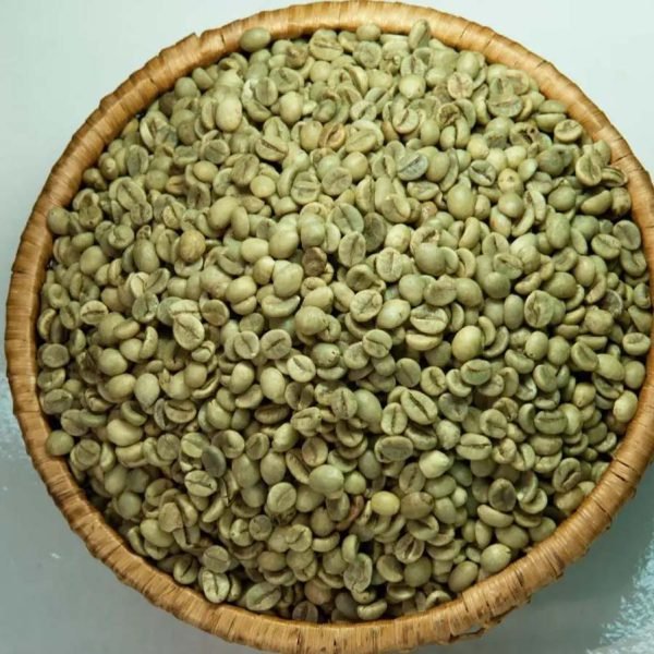 robusta coffee beans